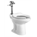 American Standard - 3043.102 - Madera Elongated Toilet - Newton Distributing