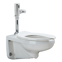 Z5615.395.00.00.00 1.1 gpf Elongated Wall Hung EcoVantage Flush Valve Toilet System